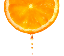 An orange slice